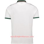 Maillot/Tenue Irlande Exterieur 2018